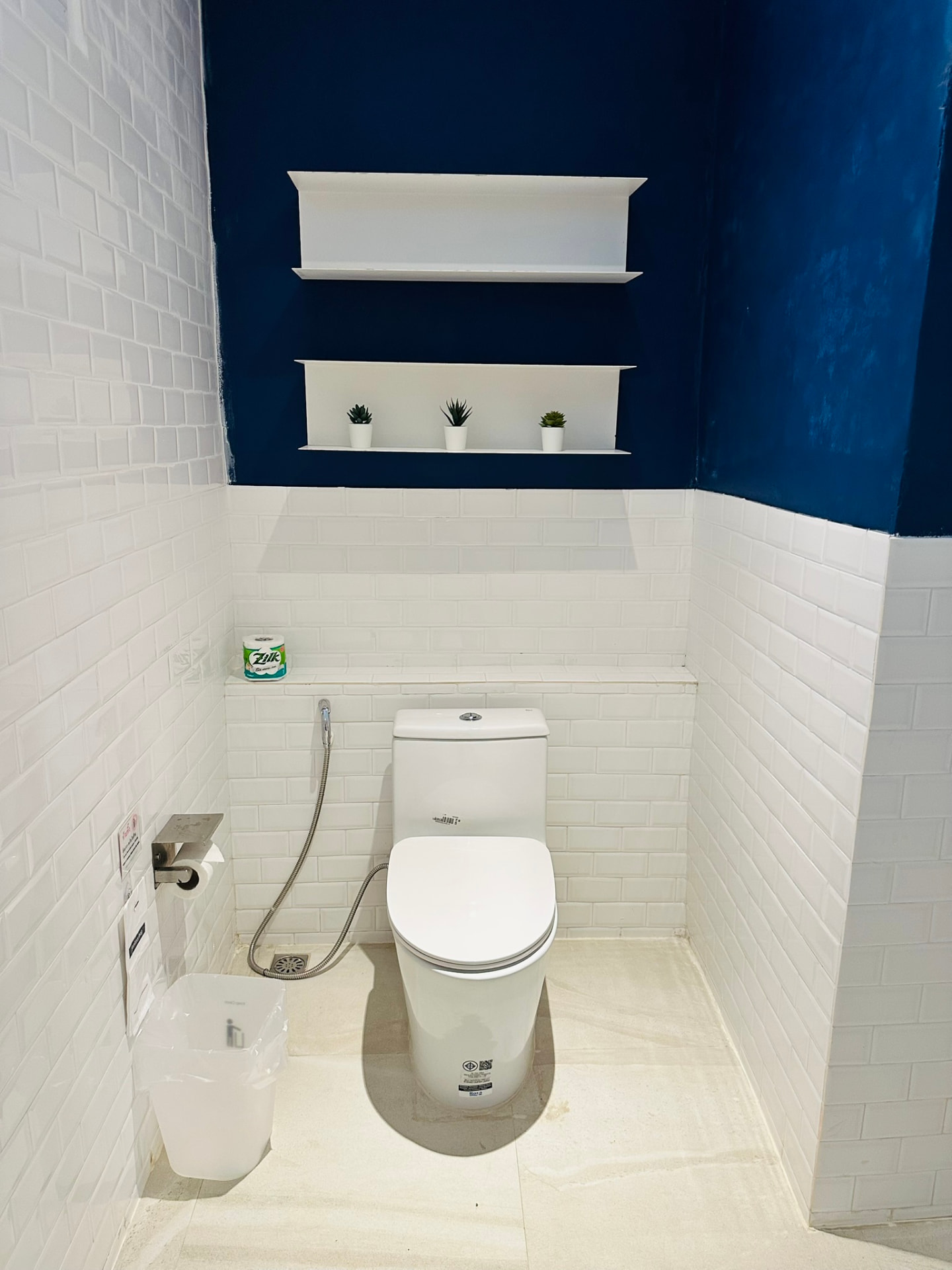 Bathroom with toilet, shelving and blue and white tiled walls