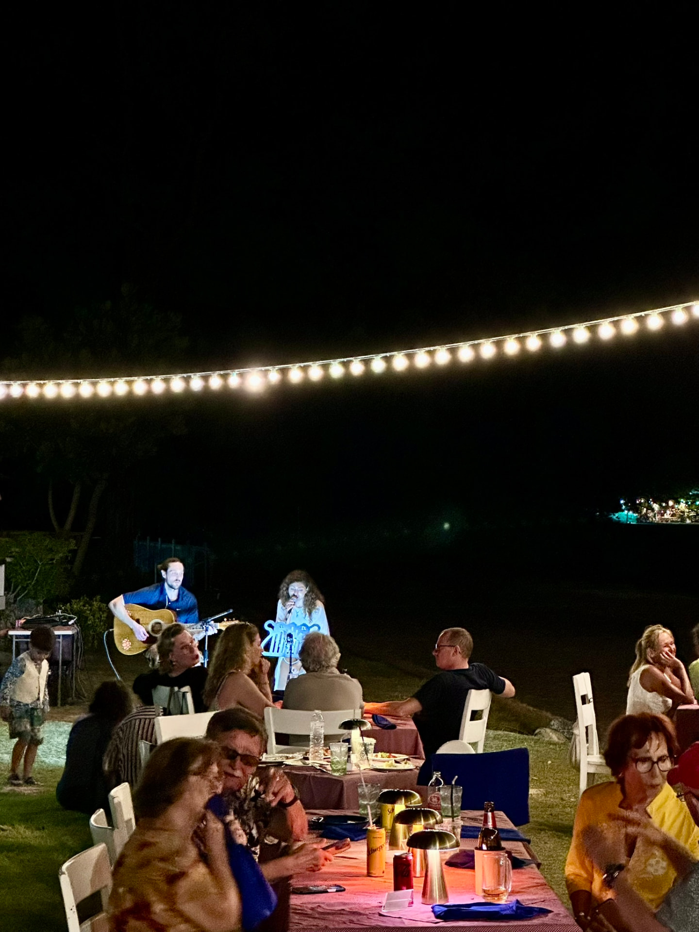 Guests at long tables eating dinner while a duo performs on the lawn behind them