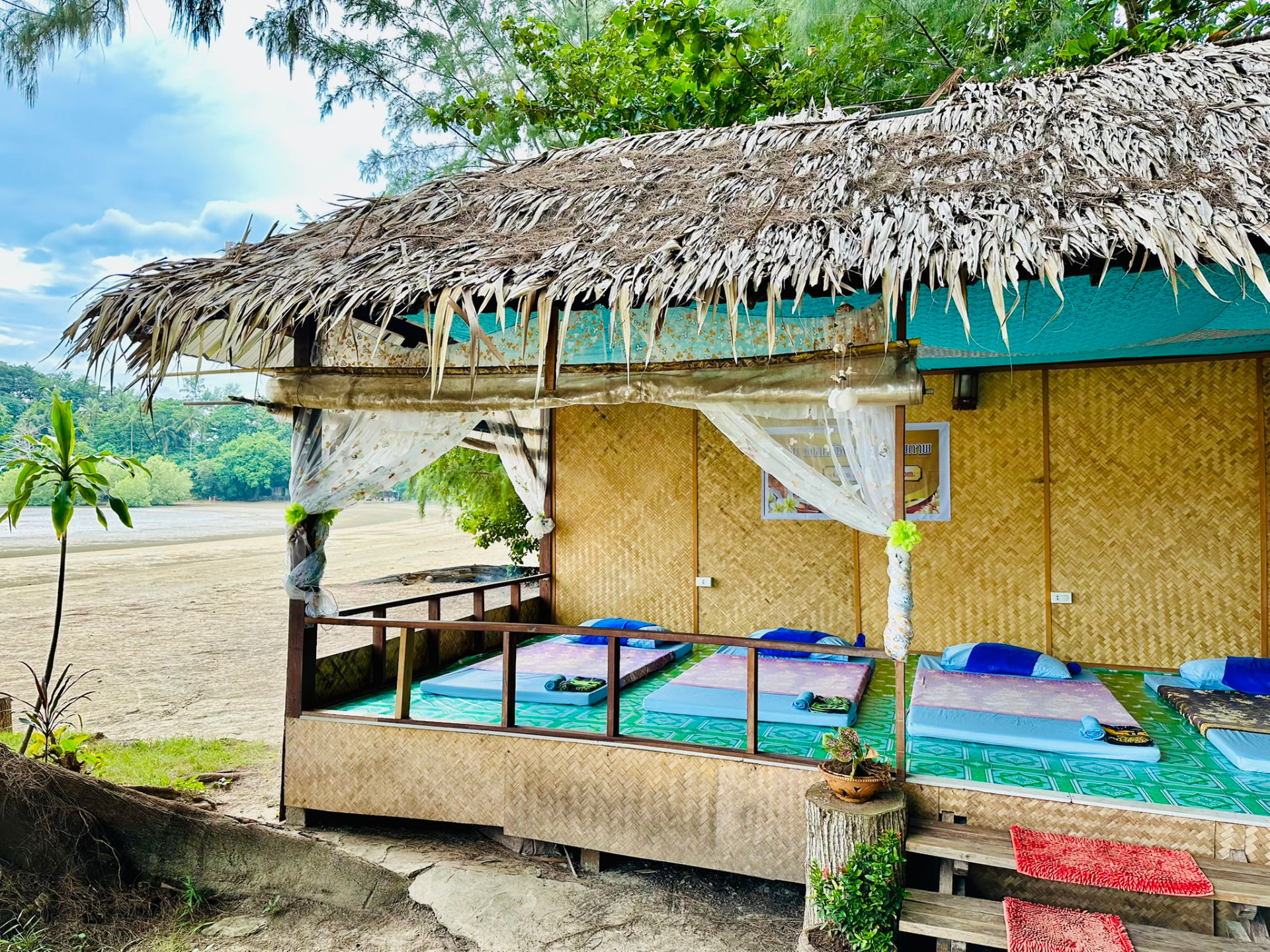 The palm-thatched massage hut under casuarina trees at the edge of the sand