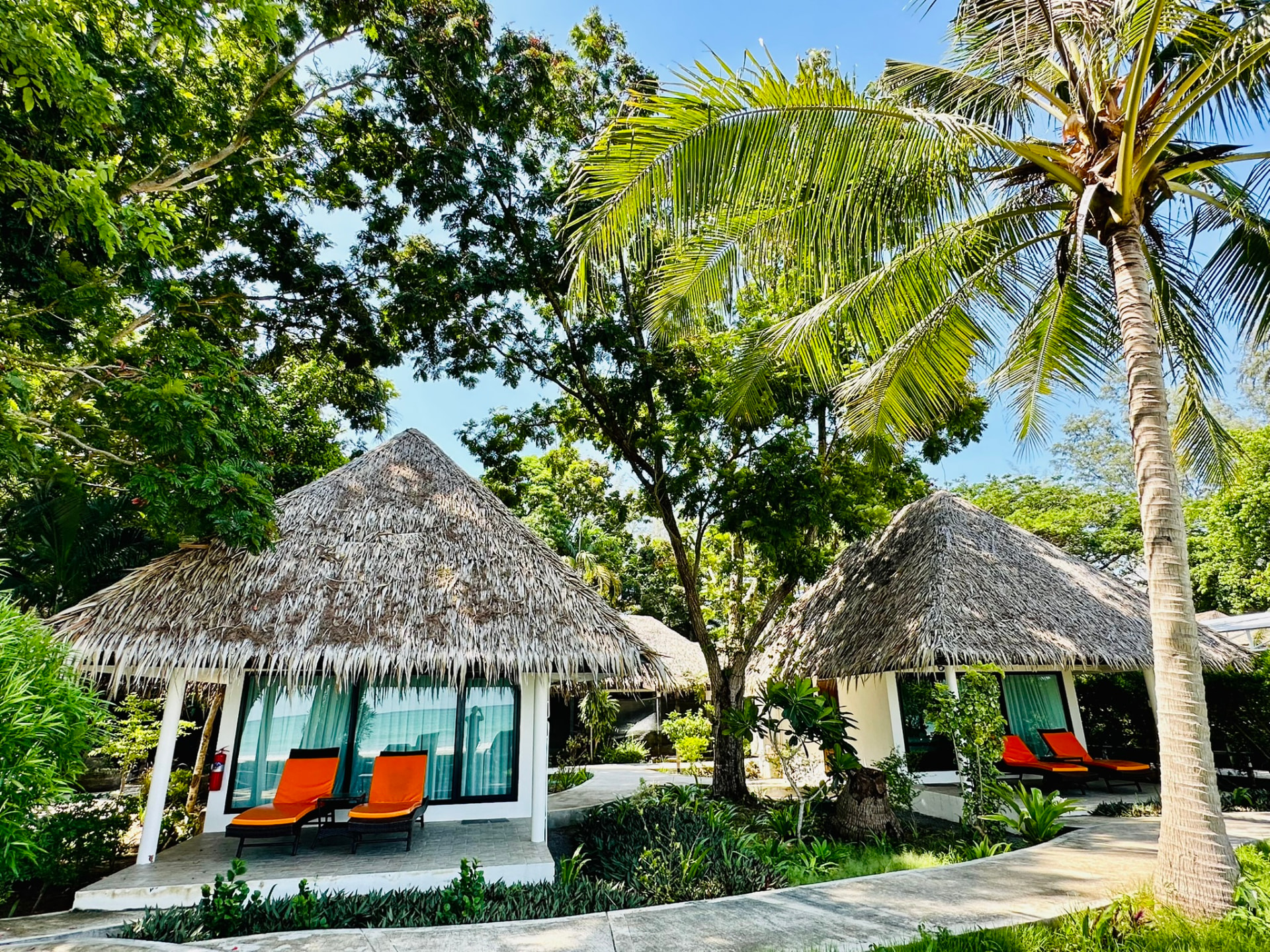 Thatched beachfront bungalows with orange sunbeds on the veranda under palms