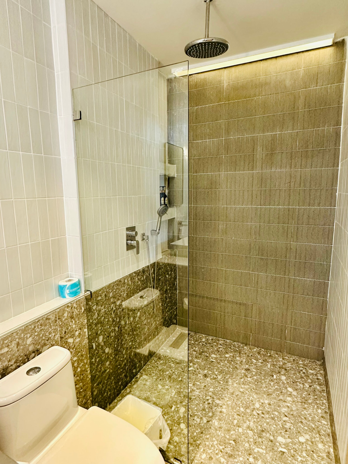 Walk-in rain shower with terrazzo floor and toilet alongside