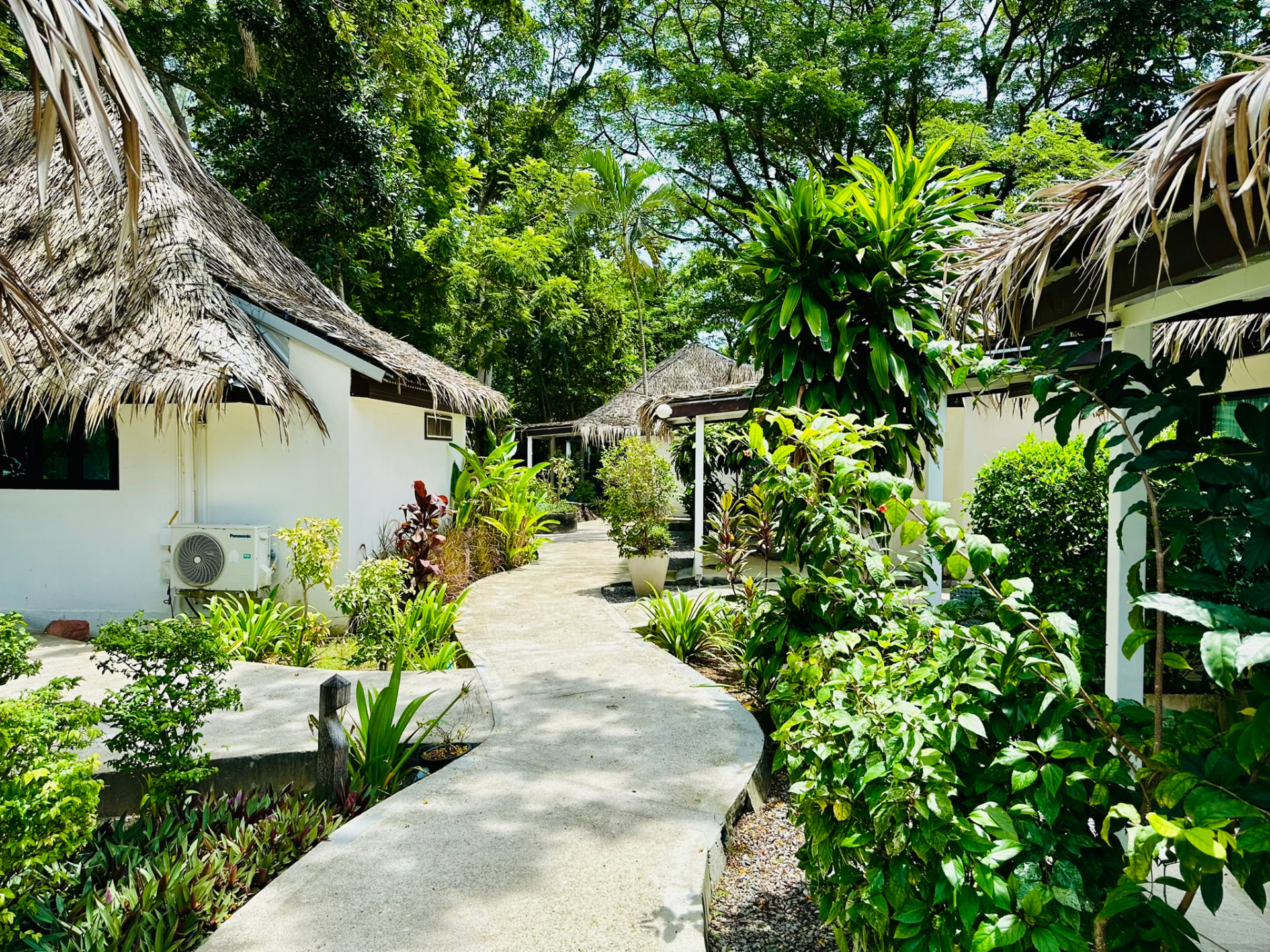 Winding garden path between thatched bungalows at TwinBay Resort
