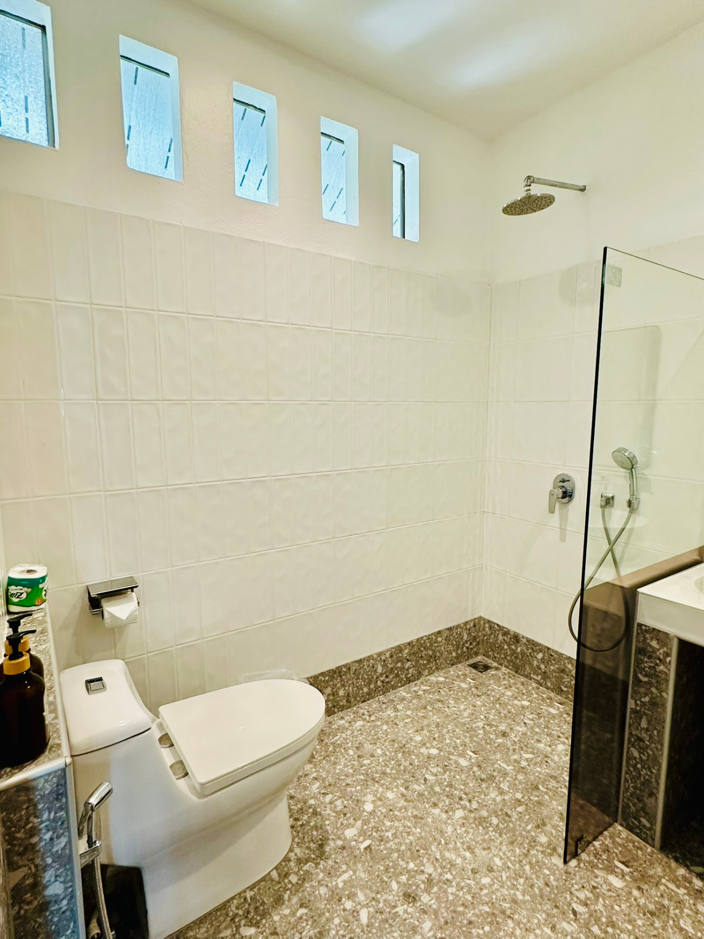 Walk-in rain shower with terrazzo floor and glass screen