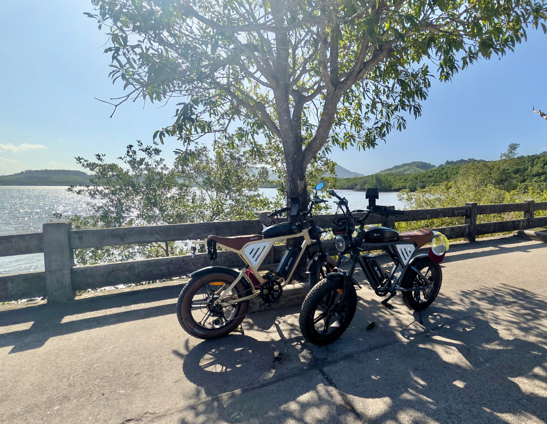 E-bikes resting under a tree on the mangrove road with the hills behind