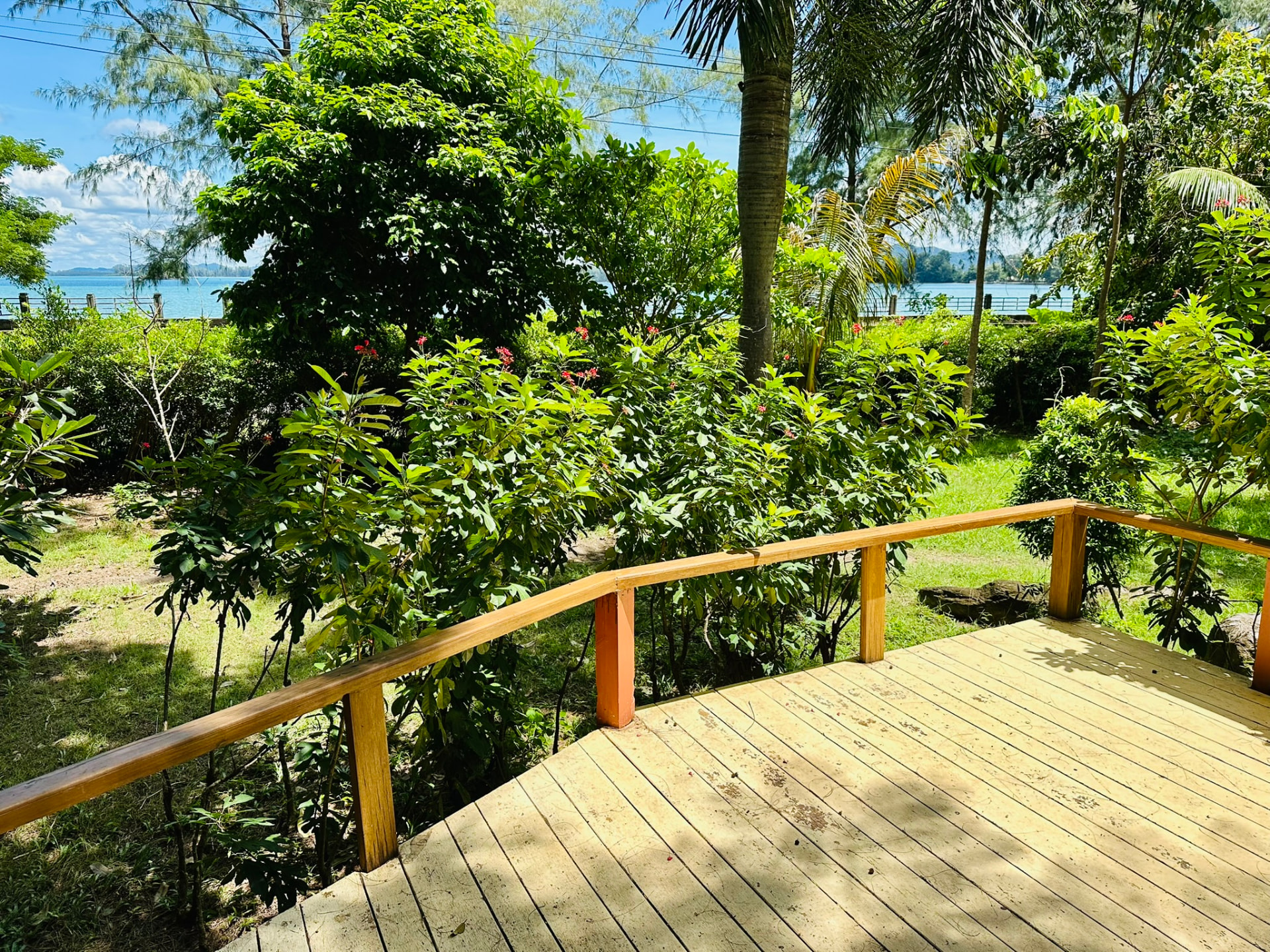 Curved timber terrace looking over the resort garden towards the water